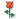圖片關(guān)鍵詞