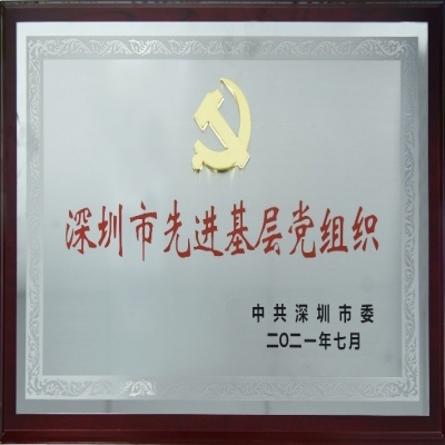 百年華誕，喜獲殊榮——國微電子黨總支榮獲“深圳市先進基層黨組織”稱號